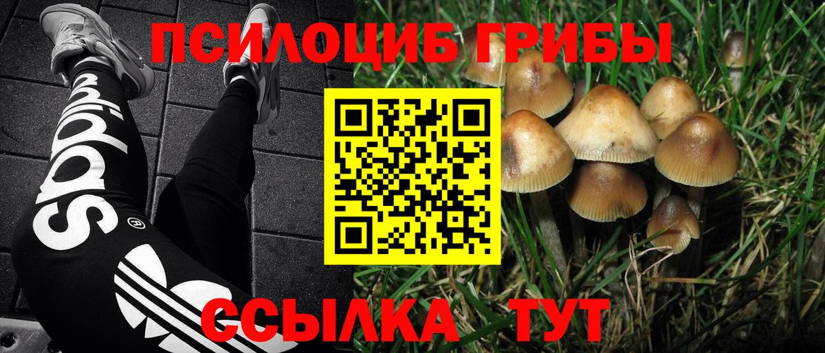 Богородск  Галлюциногенные грибы MAGIC MUSHROOMS  Галлюциногенные грибы GOLDEN TEACHER  Вход с VPN 